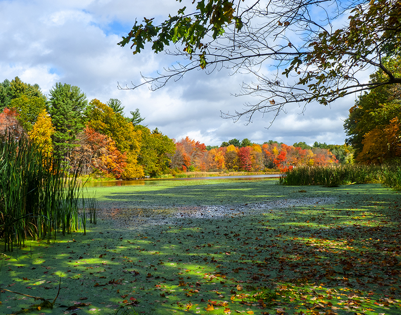 Photographs by Sudbury Artist Wayne Hall Now on Display at Emerson ...