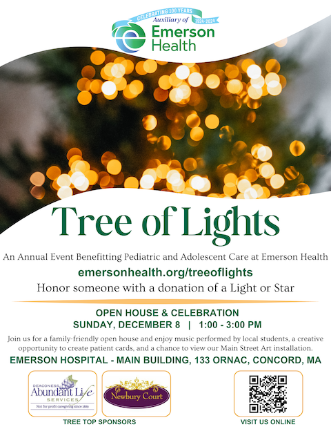 Tree of Lights flyer